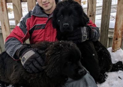 Newfies are huggable